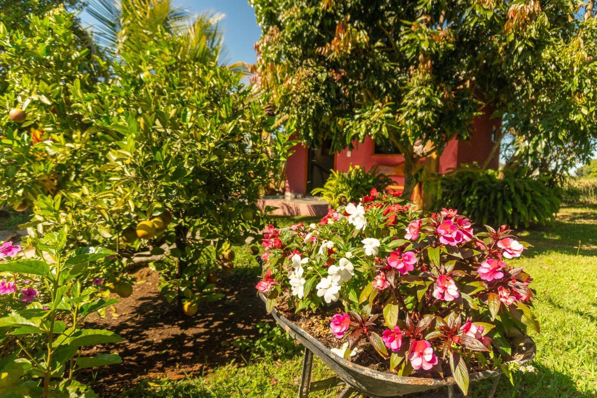 Vila Da Mata Chales Alto Paraiso de Goias Ngoại thất bức ảnh