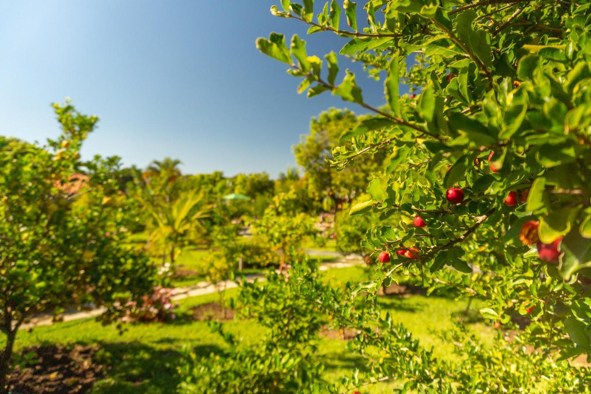Vila Da Mata Chales Alto Paraiso de Goias Ngoại thất bức ảnh