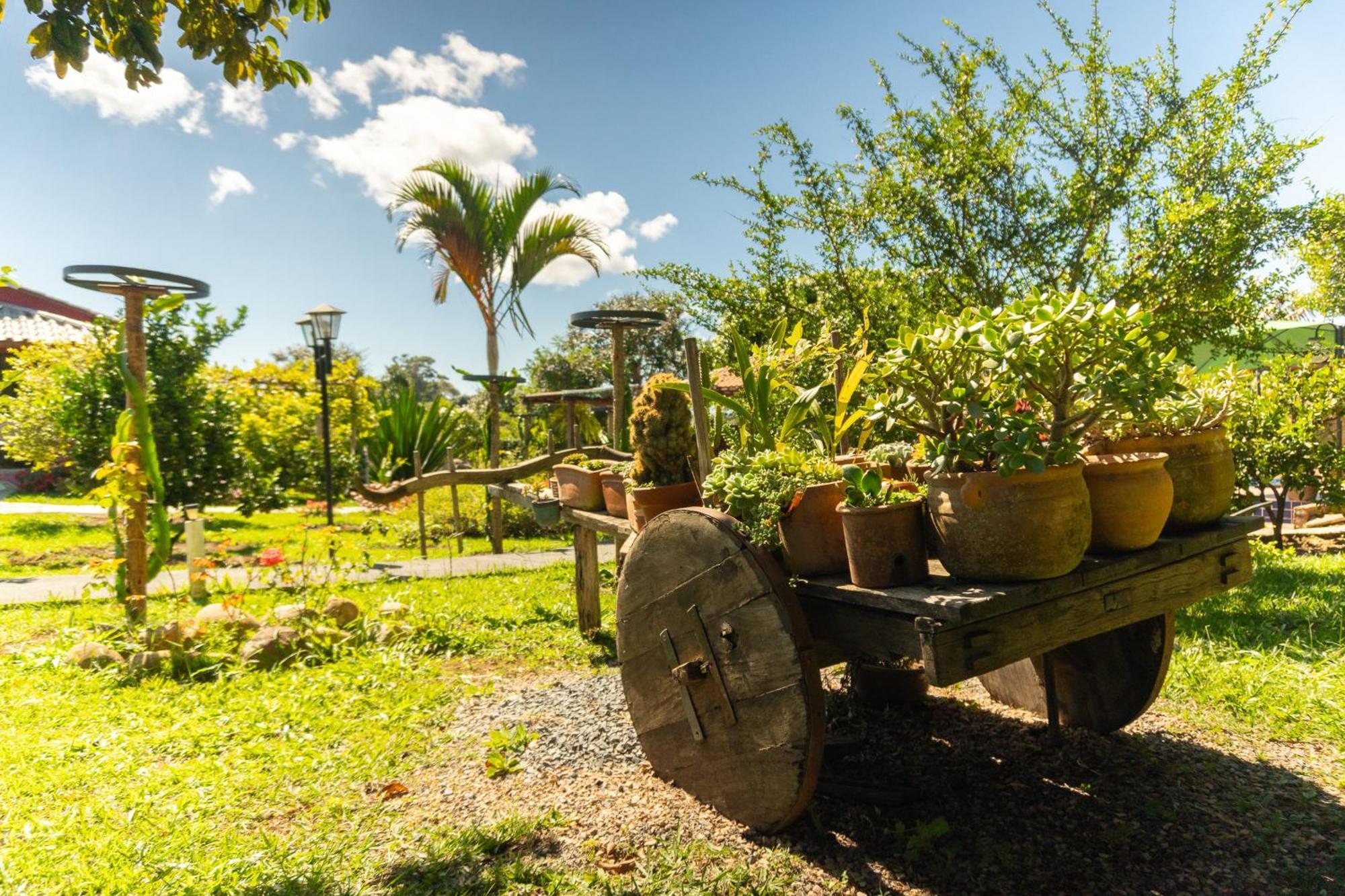Vila Da Mata Chales Alto Paraiso de Goias Ngoại thất bức ảnh