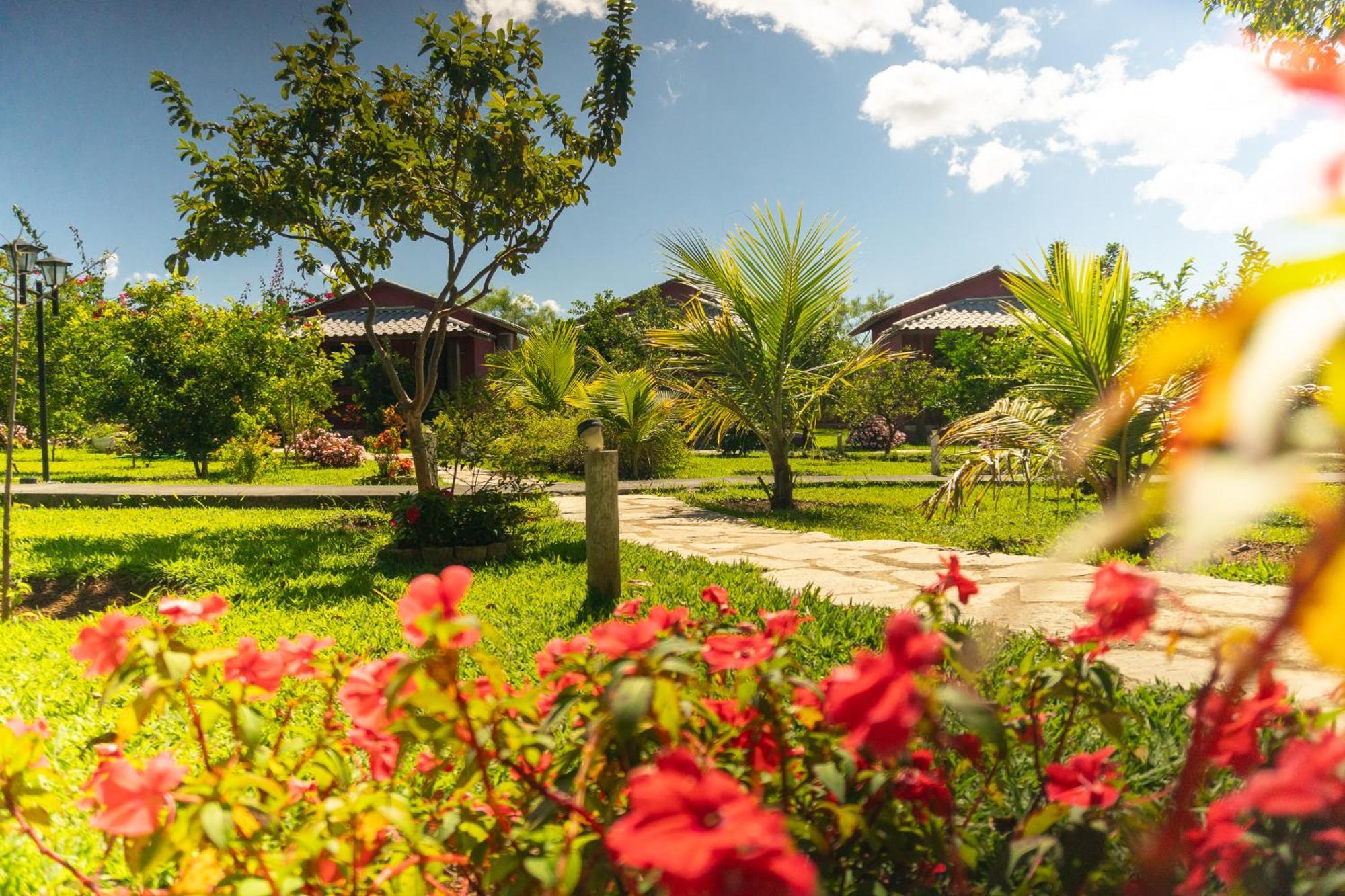 Vila Da Mata Chales Alto Paraiso de Goias Ngoại thất bức ảnh